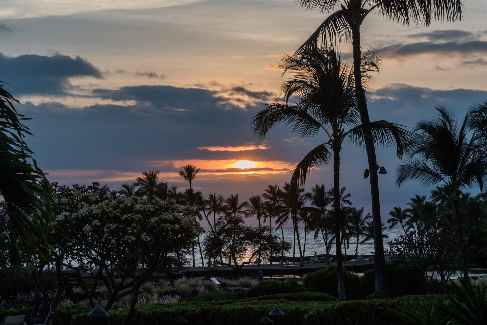 Palm trees and resort gardens silhouetted as the sun sets over the ocean on the Big Island