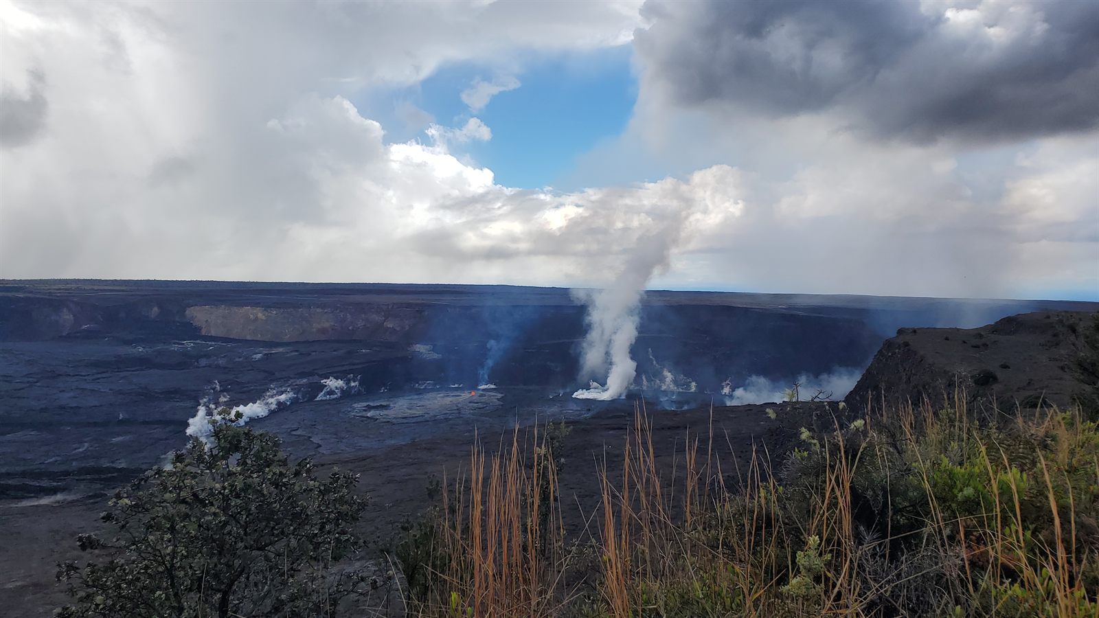 A white plume of volcanic steam rising from the summit caldera of Kilauea, seen past grasses and shrubs on the crater rim